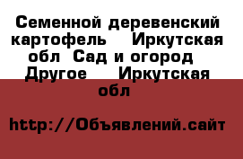 Семенной деревенский картофель. - Иркутская обл. Сад и огород » Другое   . Иркутская обл.